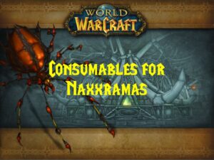 Consumables for Naxxramas