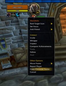 Right click on a character portrait to get a new Copy Character Name option