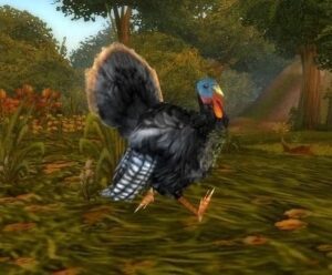 Wild Turkey, a special NPC for Pilgrim's Bounty in WotLK Classic
